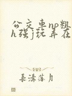 公交车np粗暴h强j玩弄在线