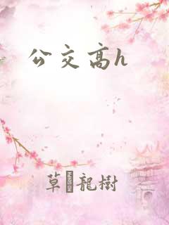 公交高h