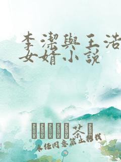 李洁与王浩上门女婿小说