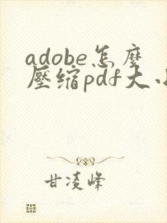adobe怎么压缩pdf大小