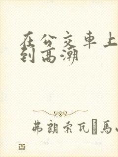 在公交车上被奸到高潮