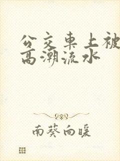 公交车上被插到高潮流水