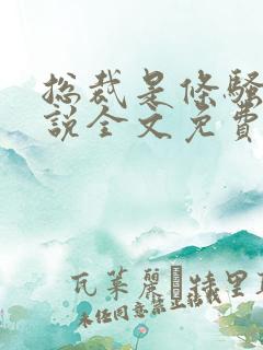 总裁是条骚狗小说全文免费阅读