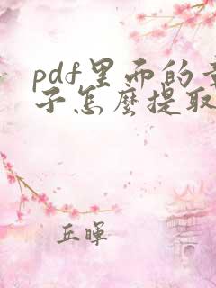 pdf里面的章子怎么提取出来