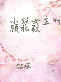 小说女主叫苏o顾北弦