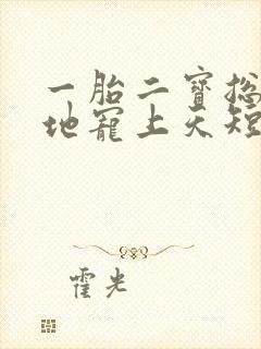 一胎二宝总裁爹地宠上天短剧