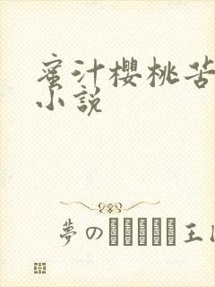 蜜汁樱桃苦咖啡小说