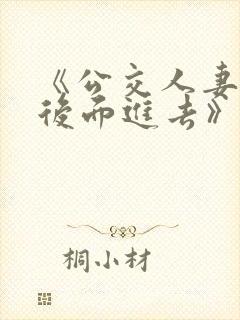 《公交人妻被从后面进去》小说