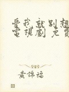 爱我就别想太多电视剧 免费