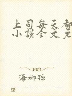 上司每天都撩我小说全文免费阅读