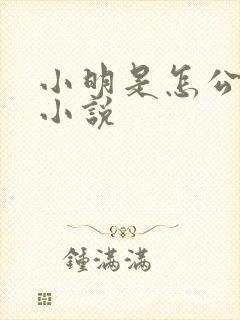 小明是怎公死的小说