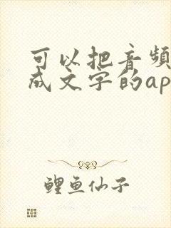可以把音频转化成文字的app