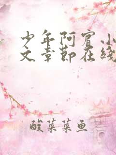 少年阿宾小说全文章节在线观看