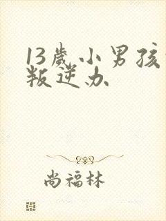 13岁小男孩的叛逆办