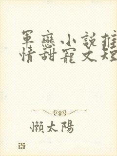 军恋小说推荐言情甜宠文短篇小说