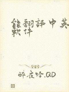 能翻译中英文的软件