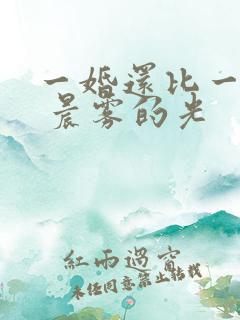 一婚还比一婚高 晨雾的光