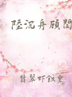 陆沉舟顾闫