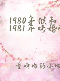 1980年猴和1981年鸡婚配好吗