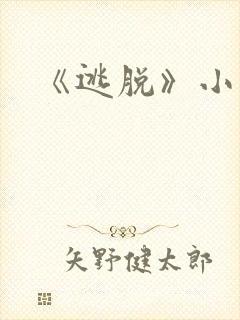 《逃脱》小说