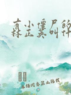 有小僵尸的电影林正英叫什么