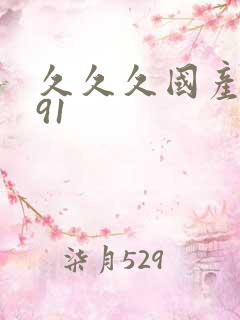 久久久国产精品91