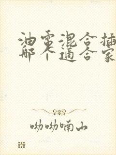 油电混合插电混哪个适合家用