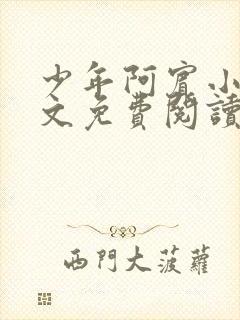 少年阿宾小说全文免费阅读