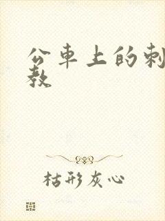 公车上的刺激调教