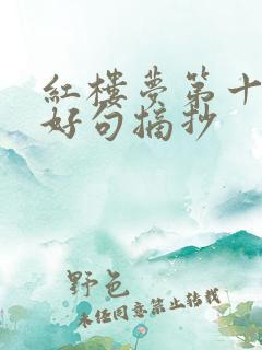 红楼梦第十二回好句摘抄