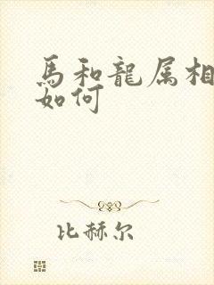 马和龙属相婚配如何