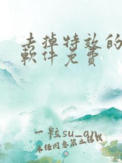 去掉特效的p图软件免费