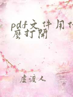pdf文件用什么打开