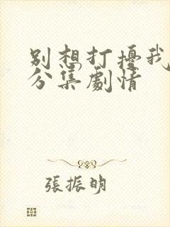 别想打扰我学习分集剧情