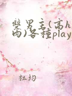 双男主(高h,肉)各种play