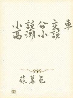 小说公交车被上高潮小说