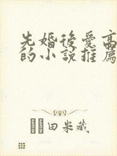 先婚后爱高干文的小说推荐