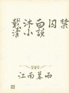 戴沐白囚禁朱竹清小说