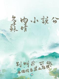 多肉小说公交车苏晴