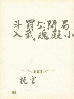 斗罗5:开局加入武魂殿小说阅读全文