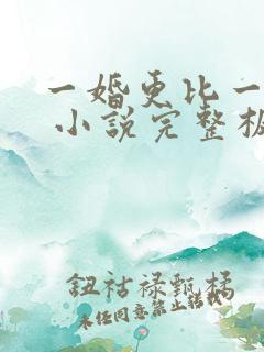 一婚更比一婚高 小说完整板