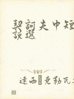 契诃夫中短篇小说选