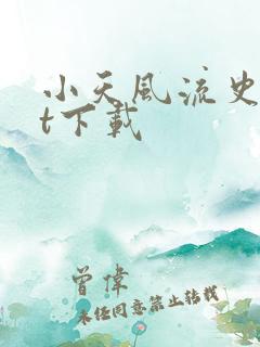 小天风流史txt下载
