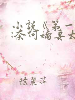 小说《第一名媛:奈何娇妻太会撩》