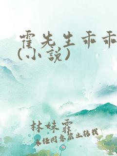 霍先生乖乖宠我(小说)