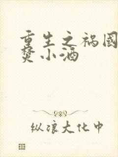 重生之祸国妖后焚小酒