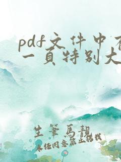pdf文件中有一页特别大如何调整