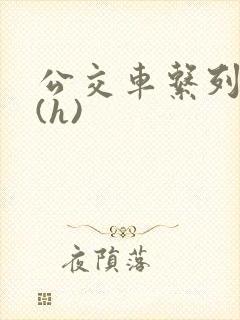 公交车系列小说(h)