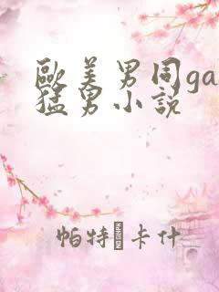 欧美男同gay猛男小说