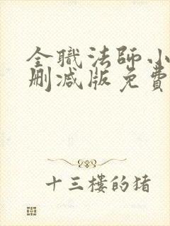 全职法师小说无删减版免费阅读